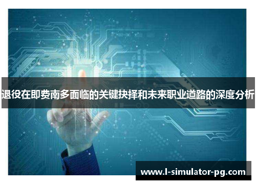 退役在即费南多面临的关键抉择和未来职业道路的深度分析