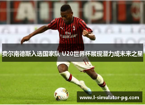 费尔南德斯入选国家队 U20世界杯展现潜力成未来之星