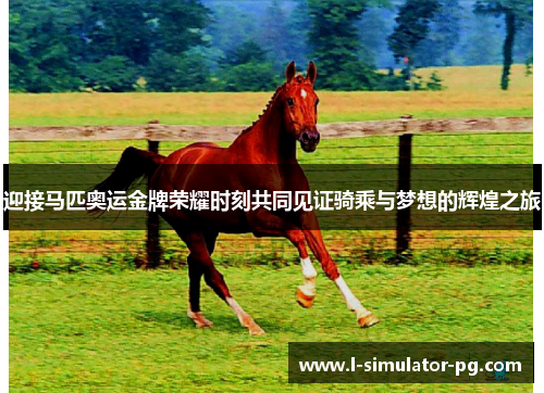 迎接马匹奥运金牌荣耀时刻共同见证骑乘与梦想的辉煌之旅
